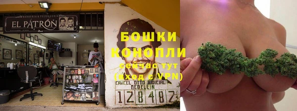 кокс Касимов