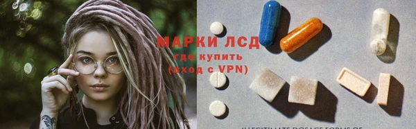кокс Касимов