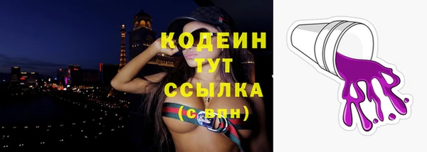 кокс Касимов